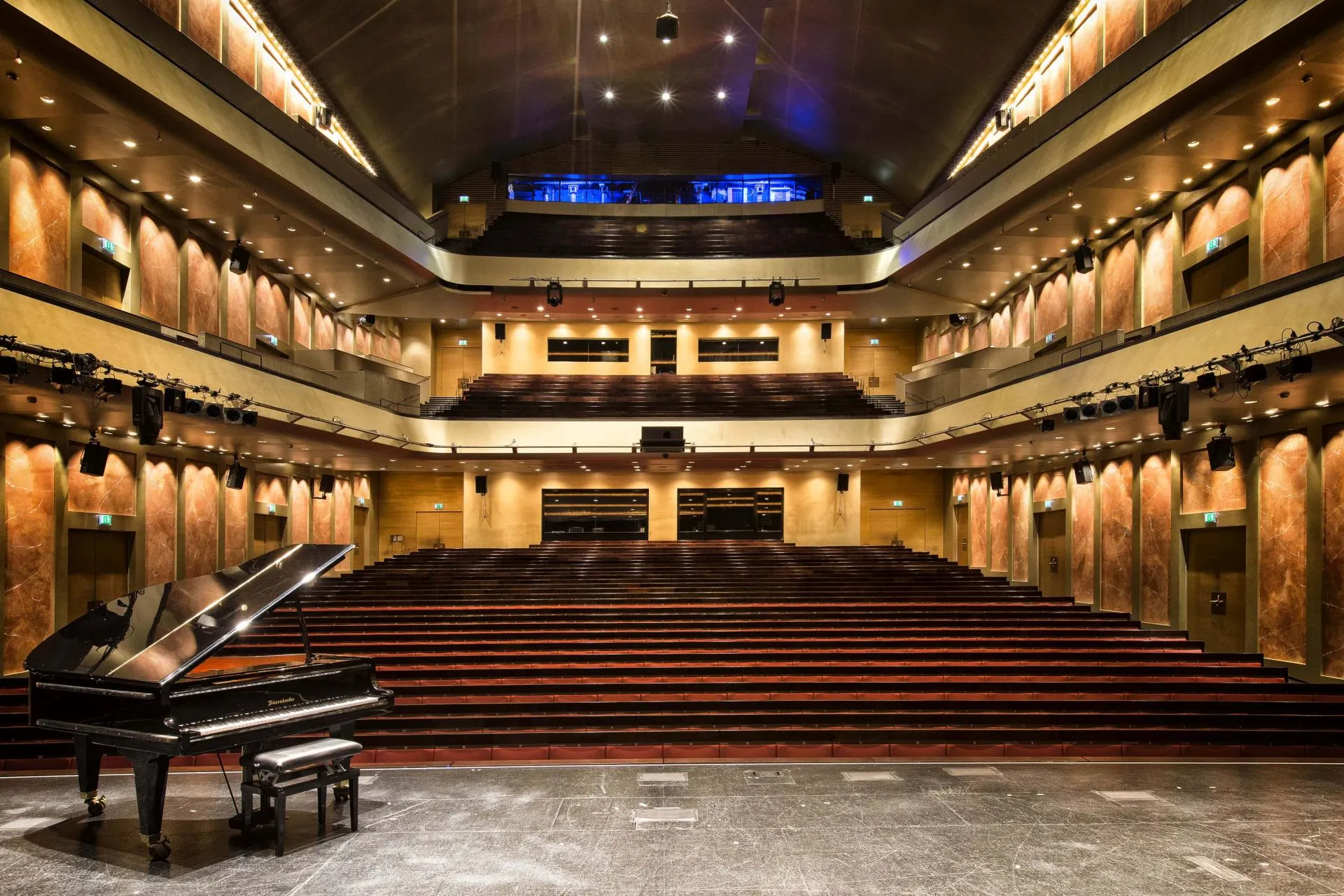 Considerando R. Capuçon, Argerich