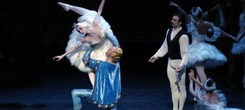 Illusionen, wie Schwanensee