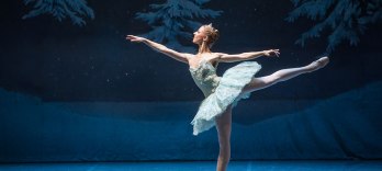 El Cascanueces, Un Cuento de Navidad