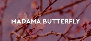 Madama Butterfly Puccini Festival 2026