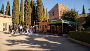 Katakomben des Heiligen Kallistus