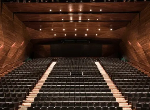 Sophia Liu