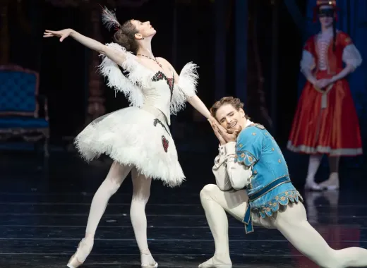 Illusionen, Wie Schwanensee Ballett