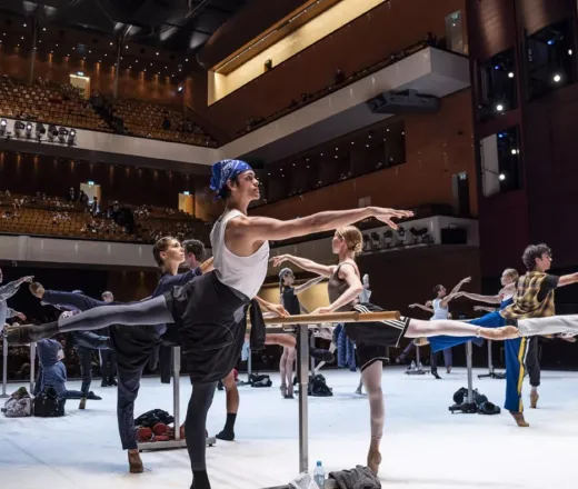 Ballet Workshop
