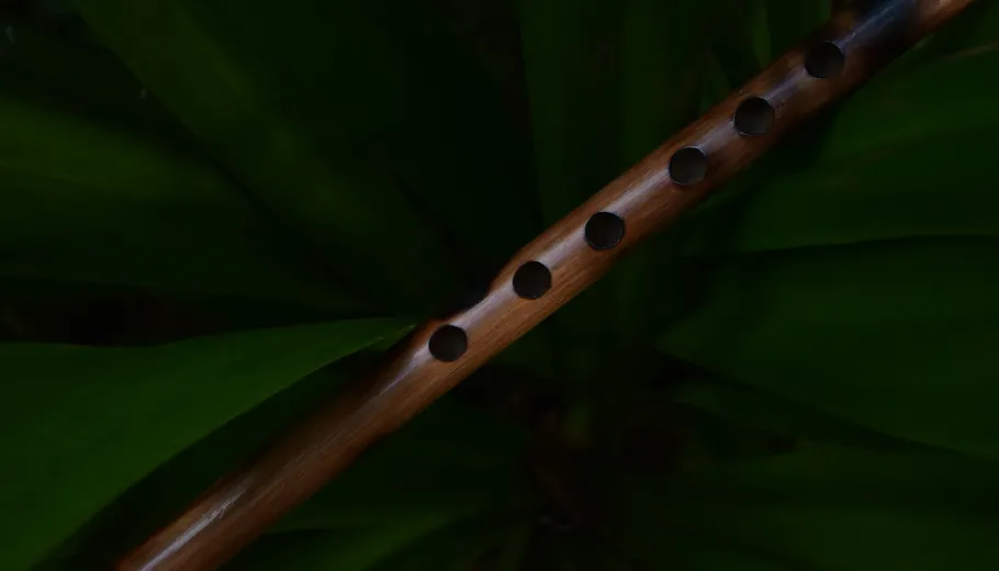 Il Flauto Magico